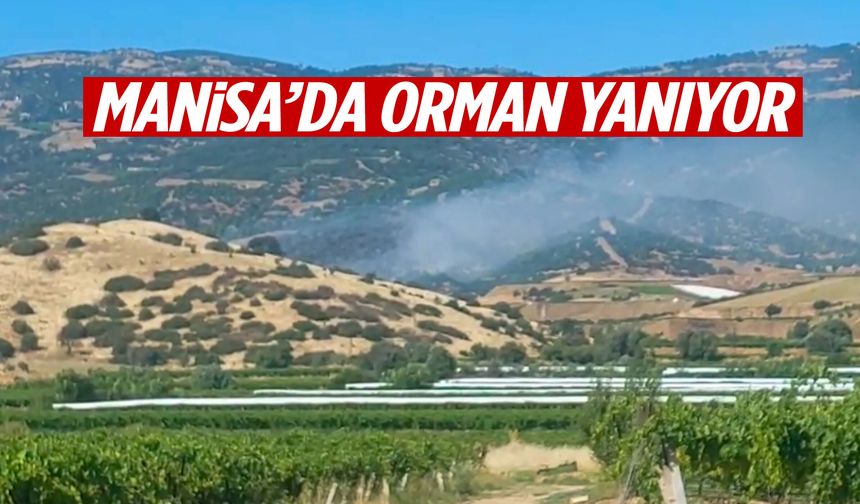 Manisa’da orman yanıyor!