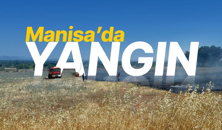 Manisa'da yangın... Havadan ve karadan müdahale