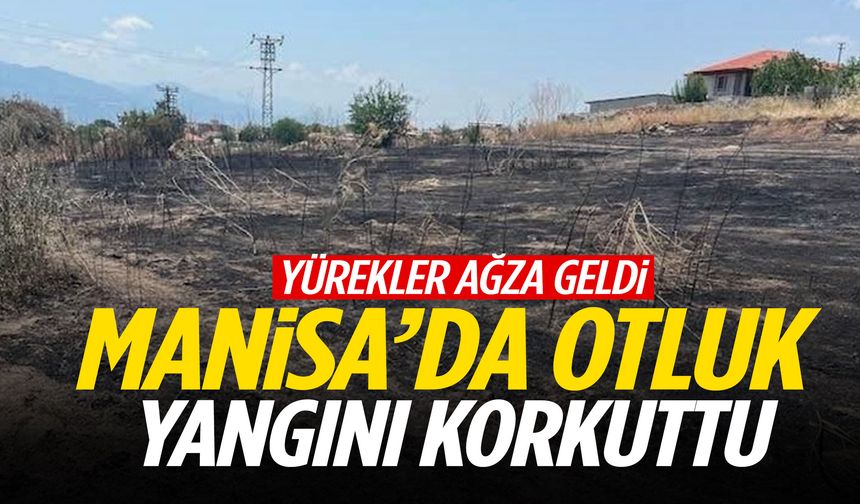 Manisa’da yürekler ağza geldi! Otluk alan alevlere teslim oldu