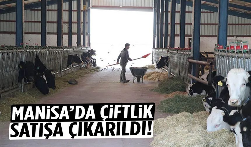 Manisa’da çiftlik satışa çıkarıldı!