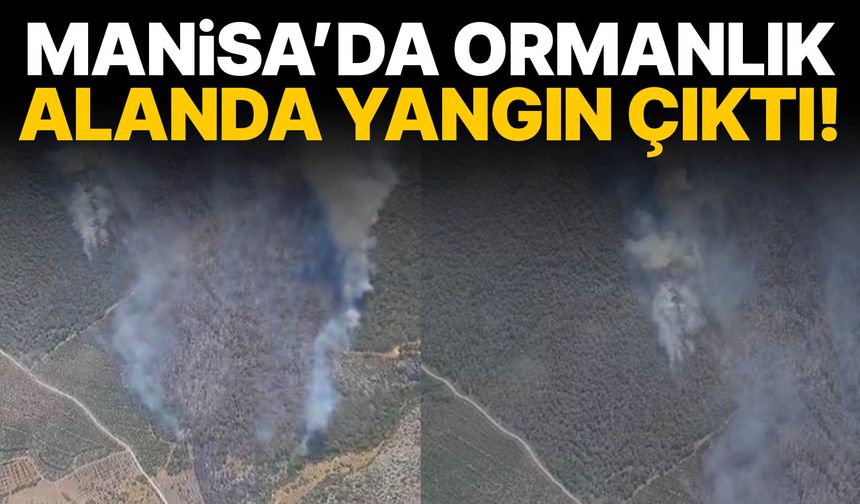 Manisa’da orman yangını! Çok sayıda ekip bölgeye sevk edildi…