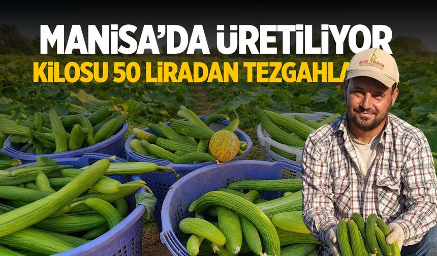 Manisa'nın en doğal ürünlerinden... 50 liraya tezgaha çıktı!