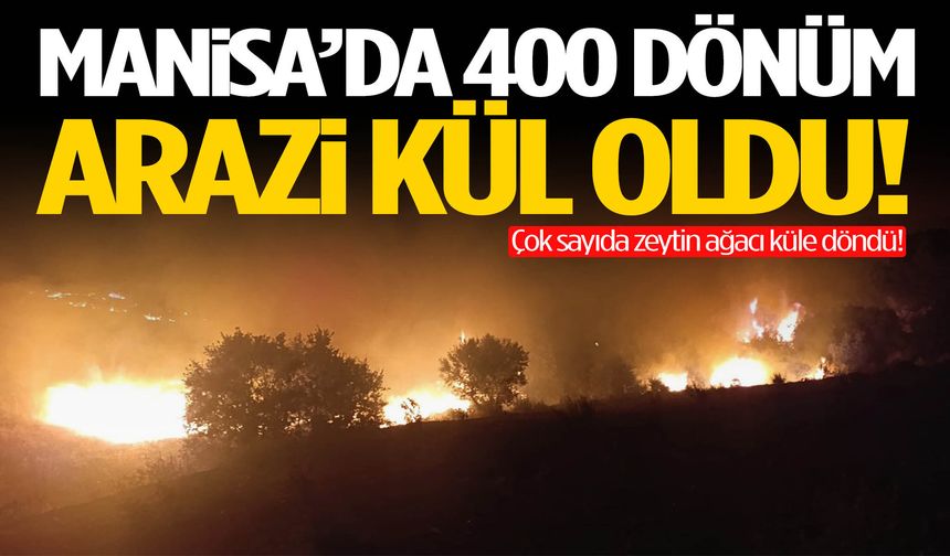 Manisa’da 400 dönüm arazi kül oldu!
