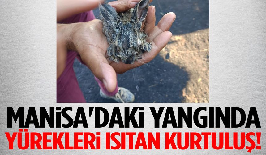 Manisa'daki yangında yürekleri ısıtan kurtuluş!