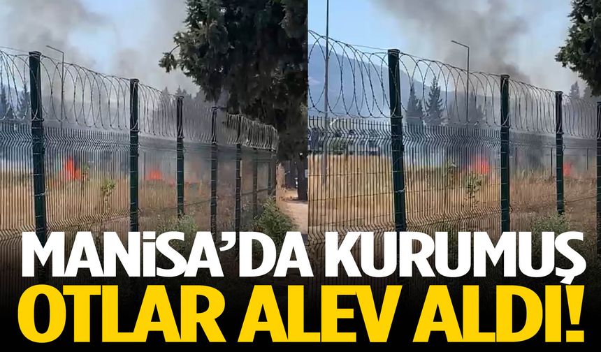Manisa’da kurumuş otlar alev aldı!
