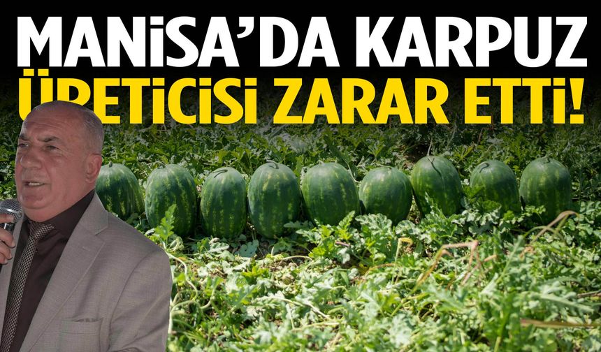 Manisa’da karpuz üreticisi zarar etti!