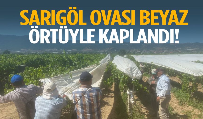 Sarıgöl Ovası beyaz örtüyle kaplandı!