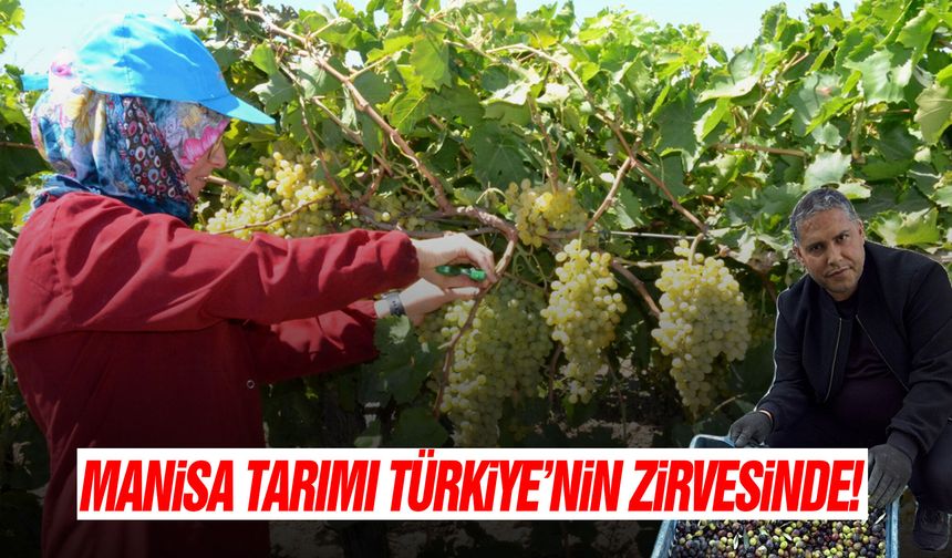 Manisa tarımı Türkiye'nin zirvesinde