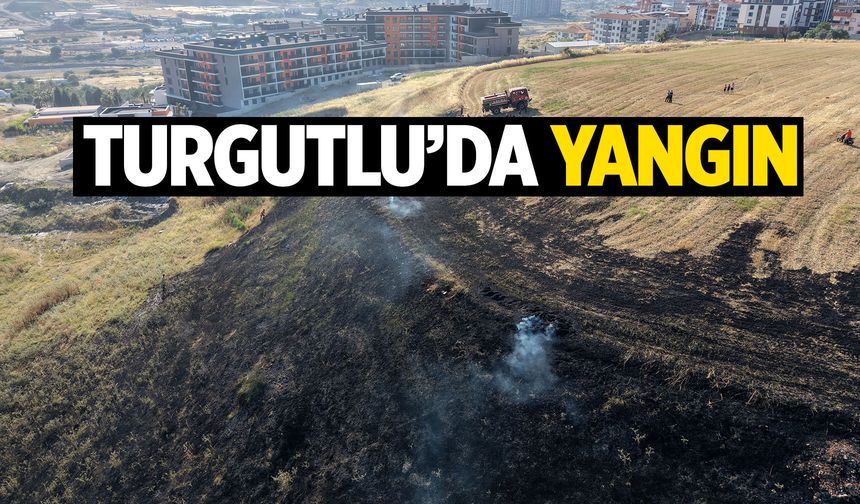 Turgutlu'da yangın! Zeytinliğe sıçradı