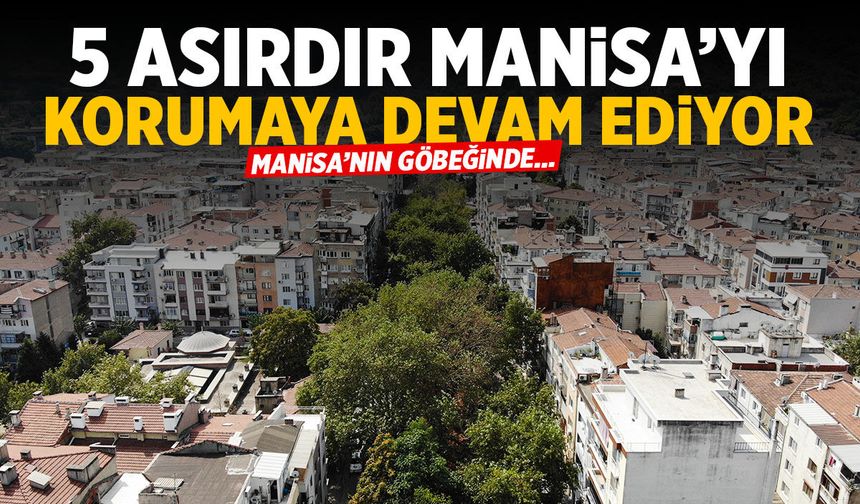 5 asırdır Manisa'yı koruyor