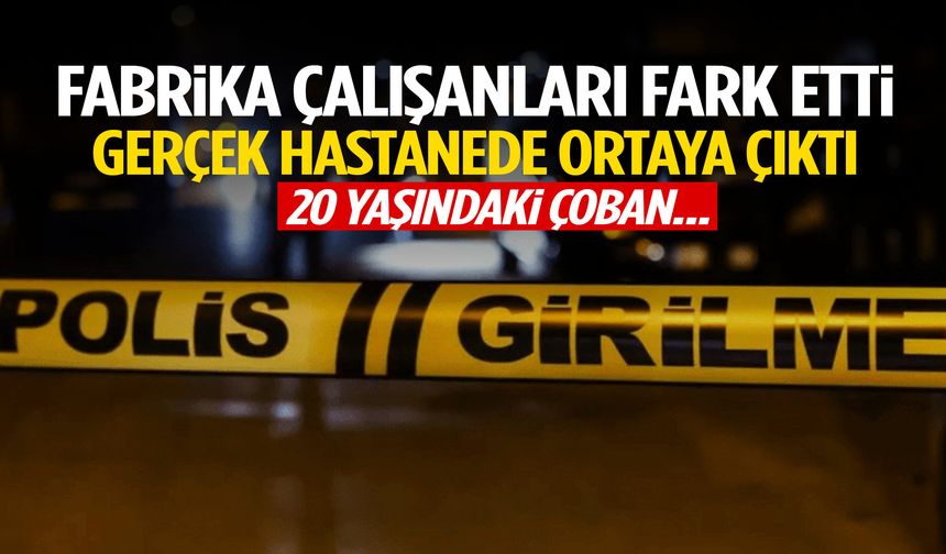 Fabrika çalışanları fark etti, gerçek hastanede ortaya çıktı! Genç çoban…