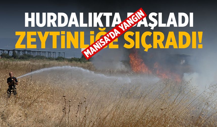 Hurdalıkta başladı! Zeytinliğe sıçradı...