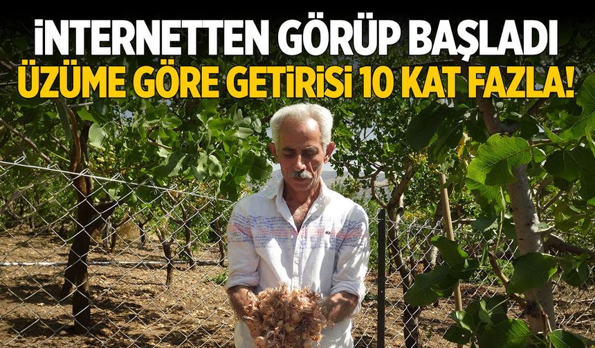 İnternetten görüp başladı! Üzüme göre getirisi 10 kat fazla...