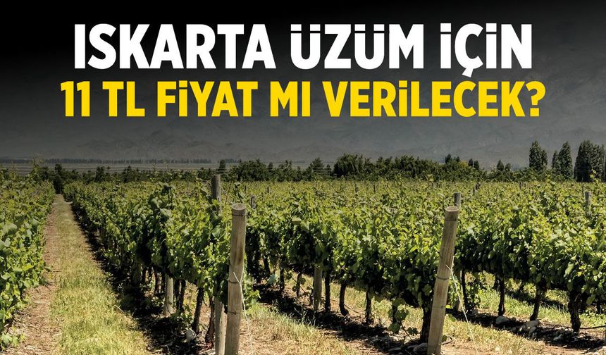 Iskarta üzümde fiyat tepkisi! 11 TL mi olacak?