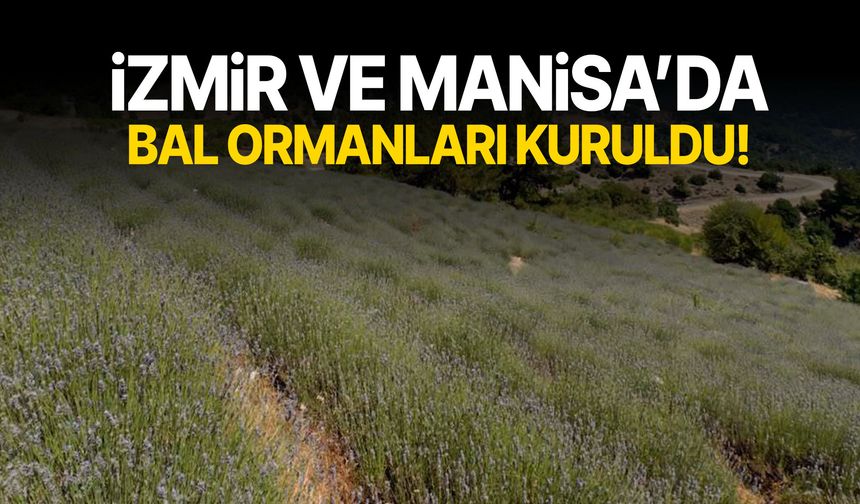 İzmir ve Manisa’da bal ormanları kuruldu!