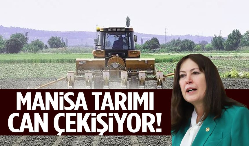 İYİ Partili Sunat: “Manisa tarımı can çekişiyor!”