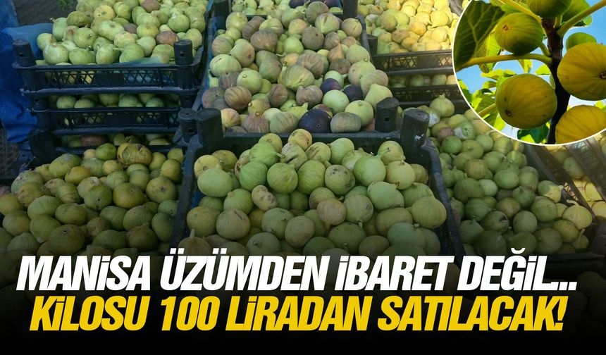 Manisa üzümden ibaret değil... Kilosu 100 liradan satılacak!