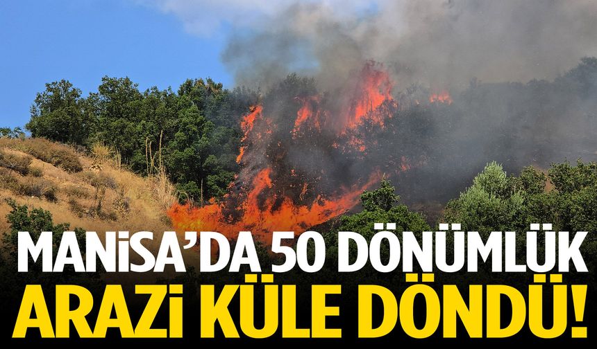 Manisa’da 50 dönümlük arazi küle döndü!