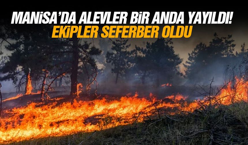 Manisa’da alevler bir anda yayıldı! Ekipler seferber oldu