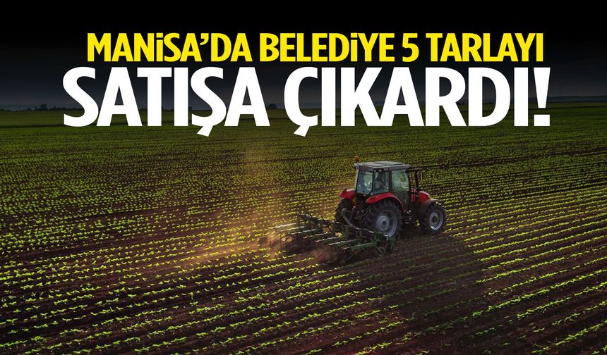 Manisa’da belediye 302 milyon liralık 5 tarlayı satışa çıkardı!