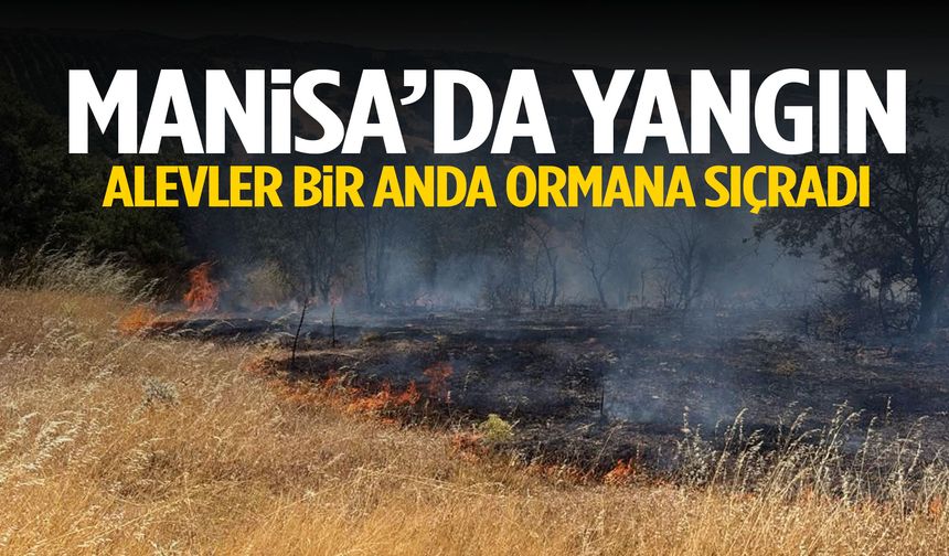 Manisa’da korkutan anlar! Alevler bir anda ormana sıçradı