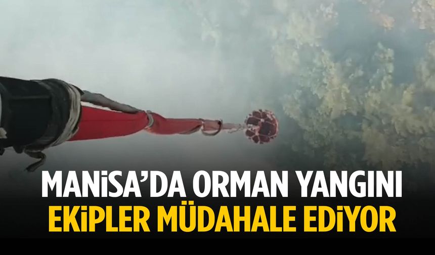 Manisa’da orman yangını! Ekipler müdahale ediyor
