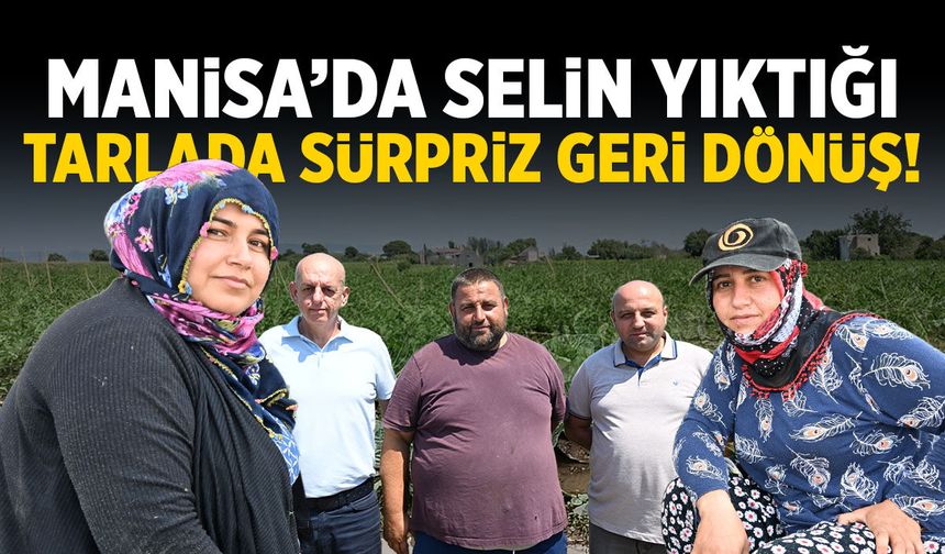 Manisa'da selin yıktığı tarlada sürpriz dönüş!