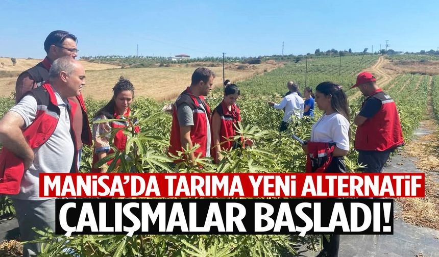 Manisa’da tarıma yeni alternatif! Çalışmalar başladı