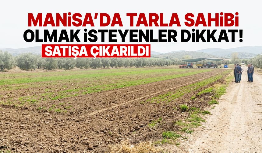 Manisa’da tarla sahibi olmak isteyenler dikkat! Satışa çıkarıldı