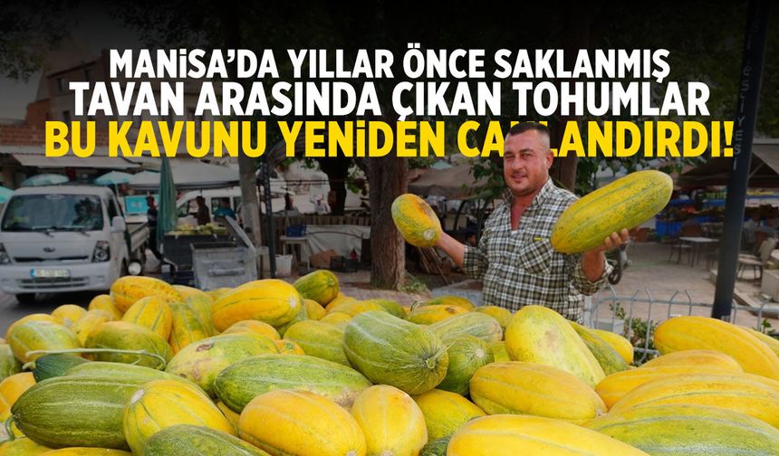 Manisa'da tavan arasından çıkan tohumlar yeniden canlandı