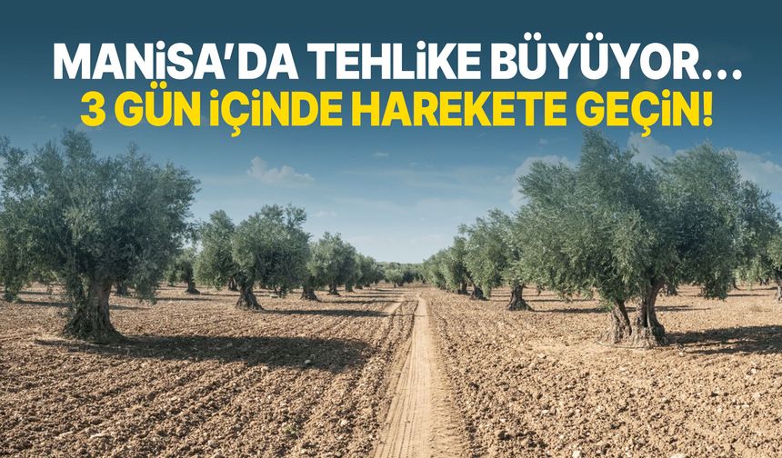 Manisa’da tehlike büyüyor… 3 gün içinde harekete geçin!