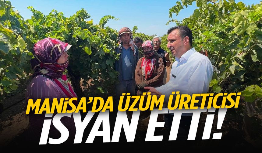 Manisa’da üzüm üreticisi isyan etti: Babam 7 çocuğa baktı, biz 2 çocuğa bakamıyoruz
