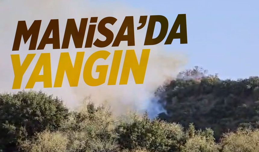 Manisa'da yangın çıktı! Havadan ve karadan müdahale başladı