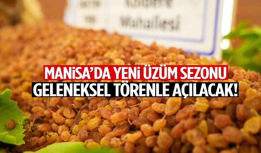 Manisa’da yeni üzüm sezonu geleneksel törenle açılacak!