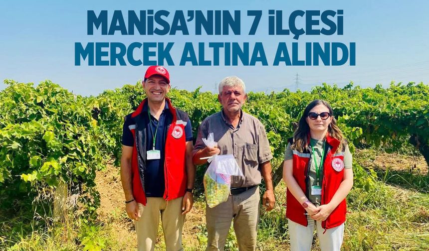 Manisa'nın 7 ilçesi mercek altına alındı
