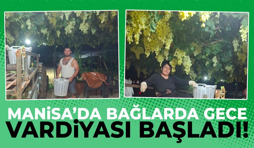 Manisa’da bağlarda gece vardiyası başladı!
