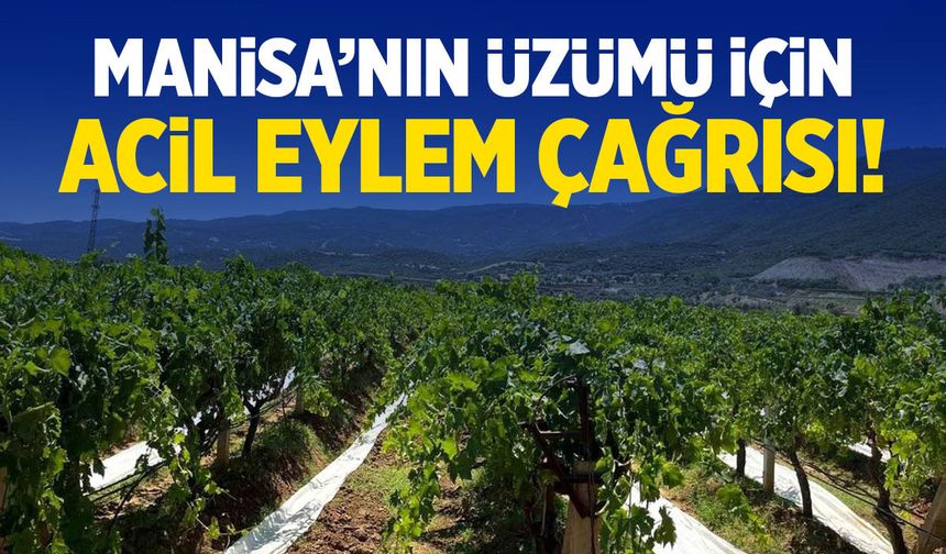Manisa'nın üzümü için acil eylem çağrısı!