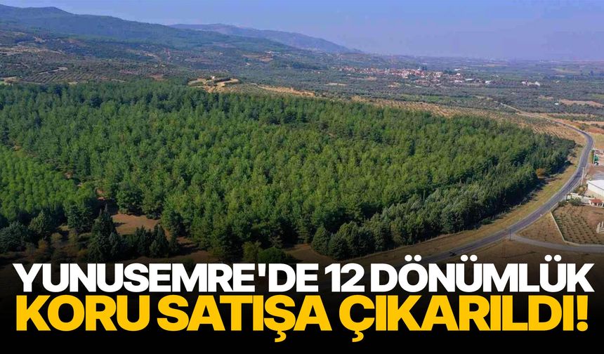 Yunusemre'de 12 dönümlük koru satışa çıkarıldı!