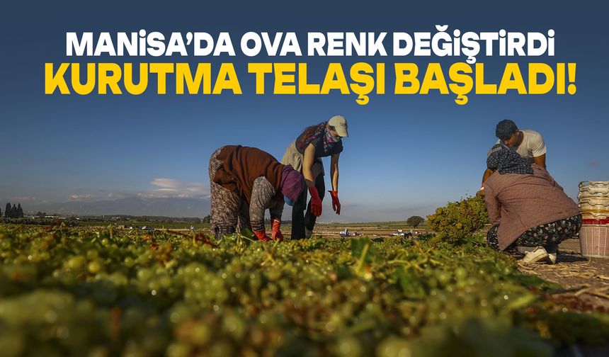 Manisa’da ova renk değiştirdi! Telaş başladı