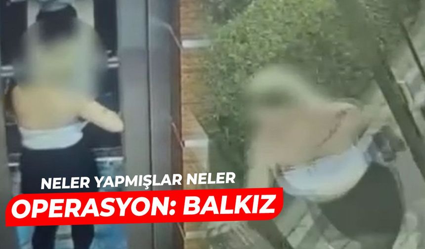 Operasyon: Balkız! Gözaltılar var...