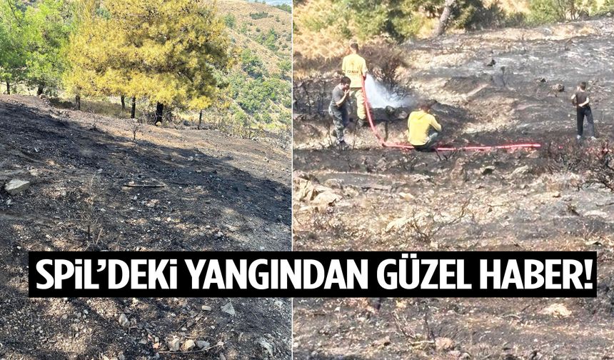 Spil Dağı’ndaki yangından güzel haber!