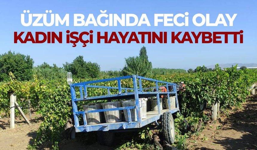 Üzüm bağında acı olay! Kadın işçi hayatını kaybetti