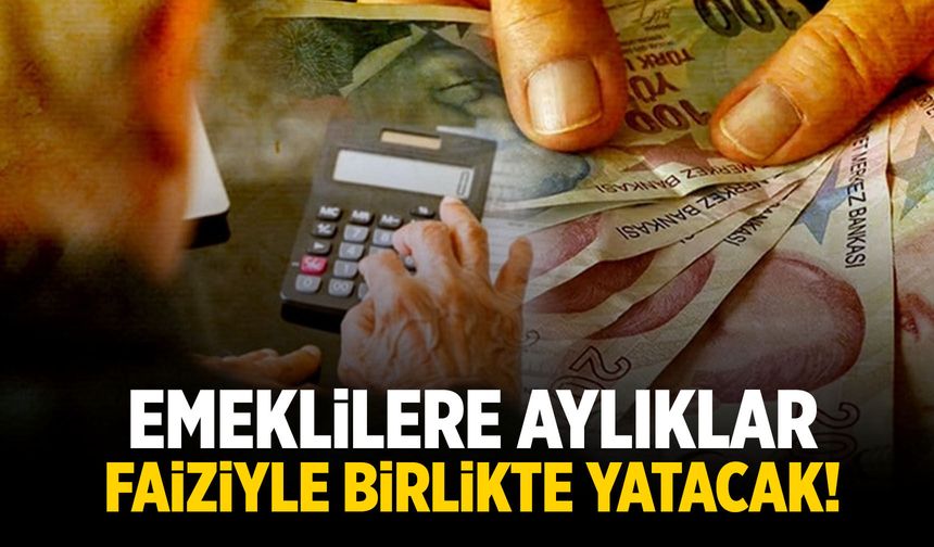 Yargıtay'dan emekli kararı! Faiziyle yatacak...