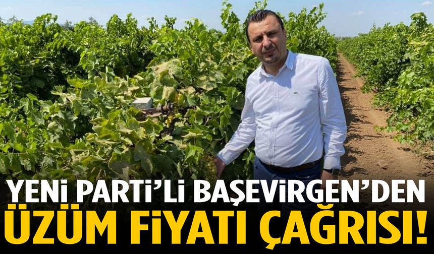 YENİ Parti’li Başevirgen’den üzüm fiyatı çağrısı!