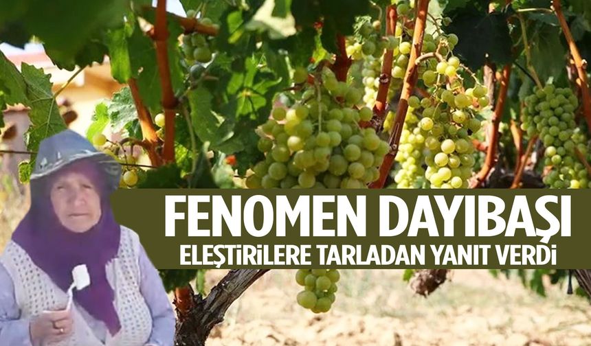 Yevmiye tartışması büyüyor… Fenomen dayıbaşı eleştirilere tarladan yanıt verdi!
