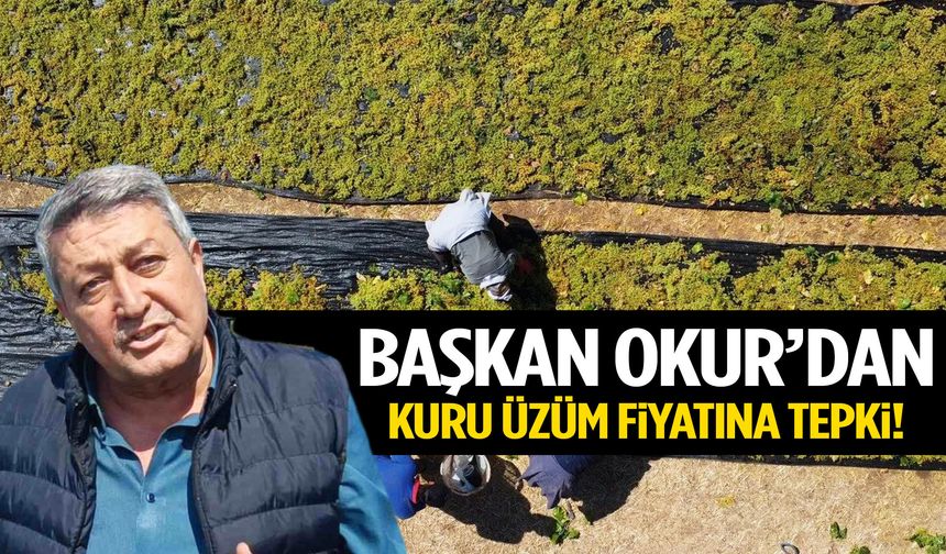 Başkan Okur’dan kuru üzüm fiyatına tepki: “TMO’yu beklemeliydi…”