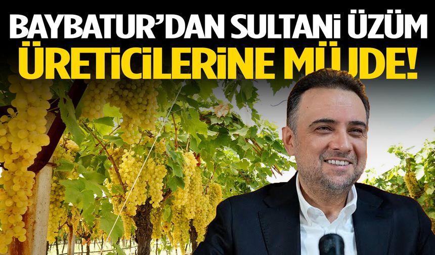 Baybatur’dan Sultani üzüm üreticilerine müjde!
