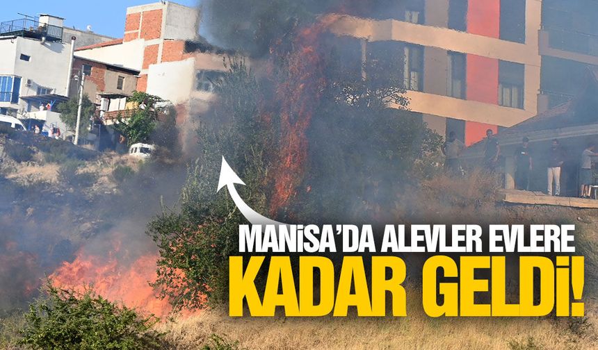 Manisa'da alevler evlere kadar geldi!