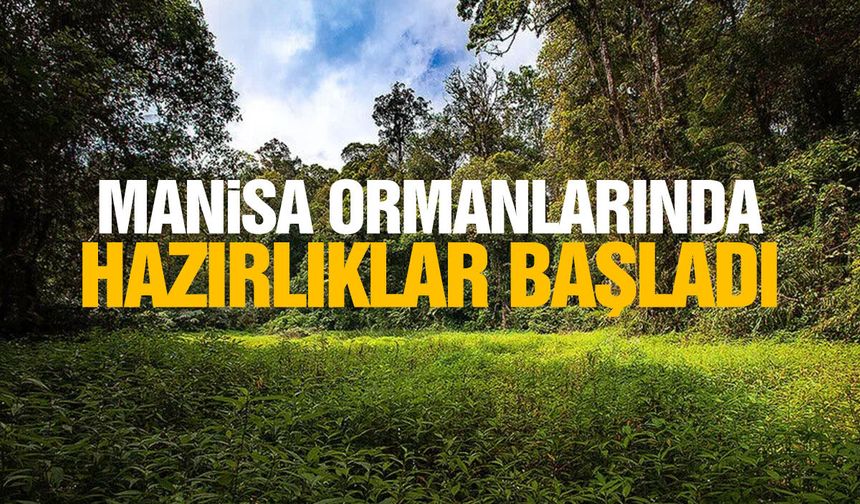 Manisa ormanlarında hazırlıklar başladı