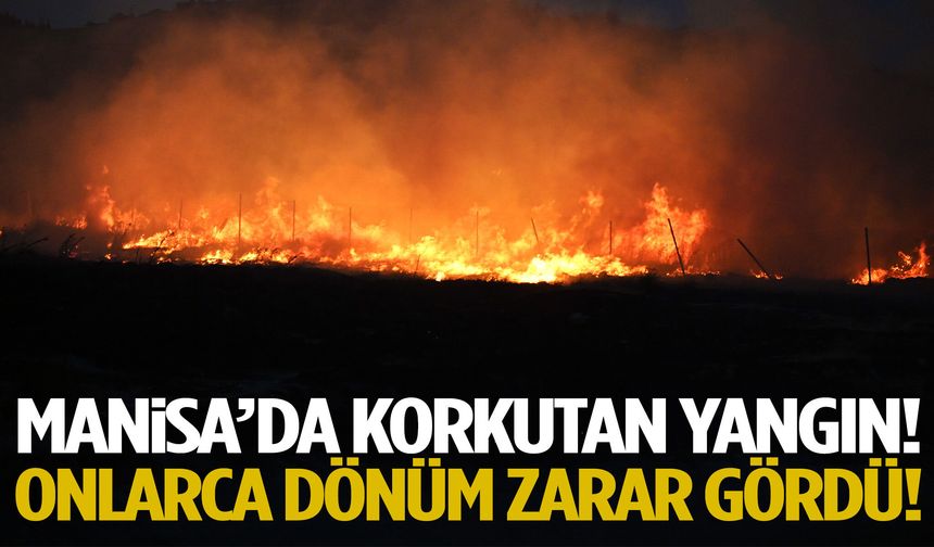 Manisa’da alevler yükseldi! Onlarca dönüm zarar gördü